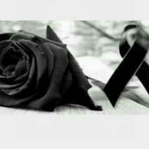 Meet your Posher, Patty